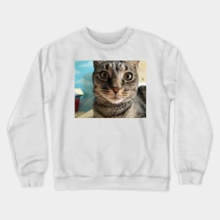 Close Up Kitty Crewneck Sweatshirt